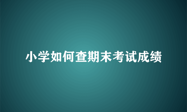 小学如何查期末考试成绩