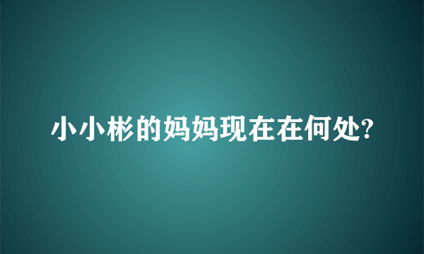 小小彬的妈妈现在在何处?