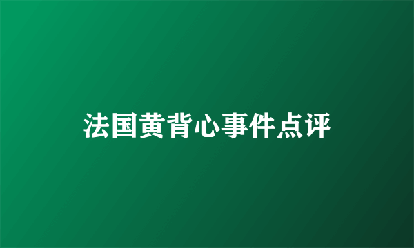 法国黄背心事件点评