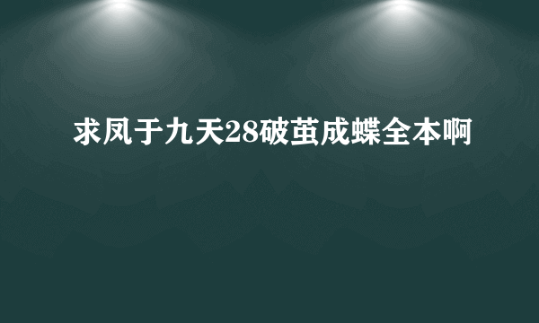 求凤于九天28破茧成蝶全本啊