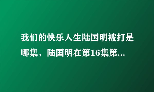 我们的快乐人生陆国明被打是哪集，陆国明在第16集第3分被打(2)