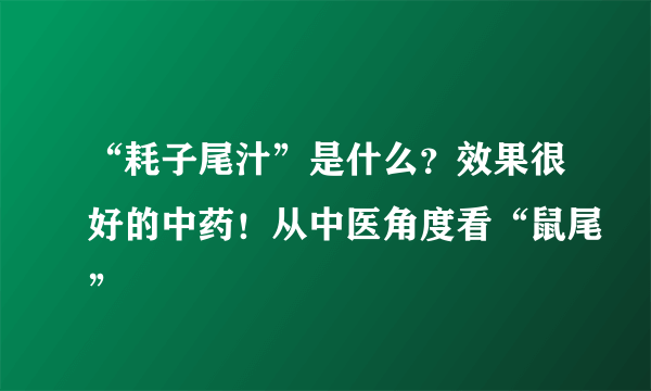 “耗子尾汁”是什么？效果很好的中药！从中医角度看“鼠尾”