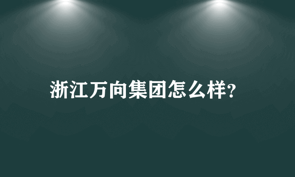 浙江万向集团怎么样？