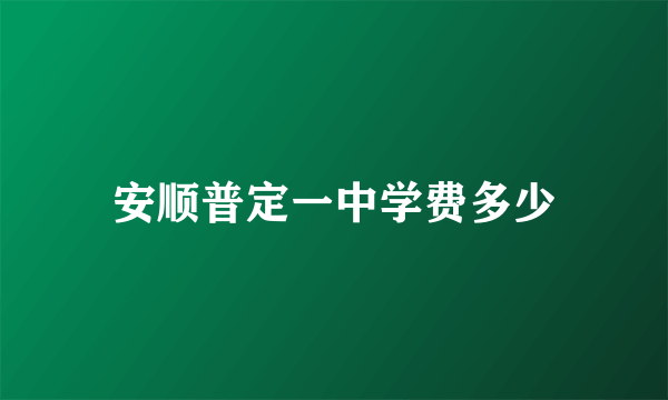 安顺普定一中学费多少