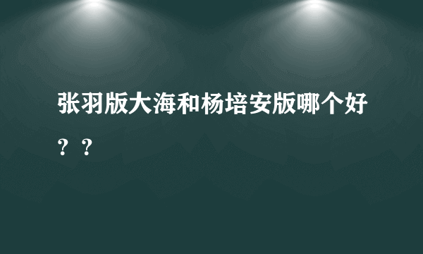 张羽版大海和杨培安版哪个好？？