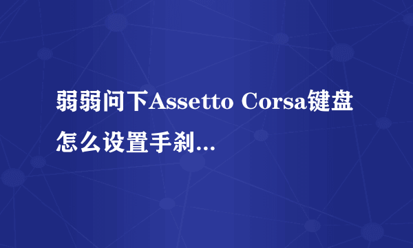 弱弱问下Assetto Corsa键盘怎么设置手刹，没看到有这个设置耶？