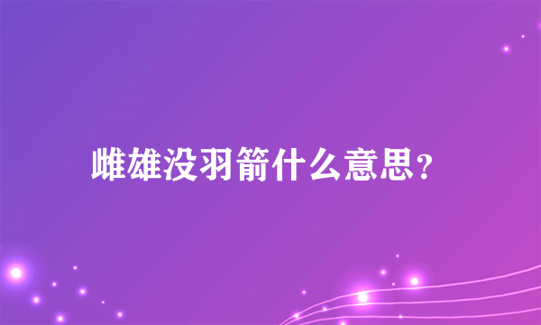 雌雄没羽箭什么意思？