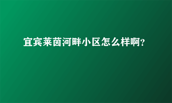 宜宾莱茵河畔小区怎么样啊？