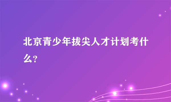 北京青少年拔尖人才计划考什么？