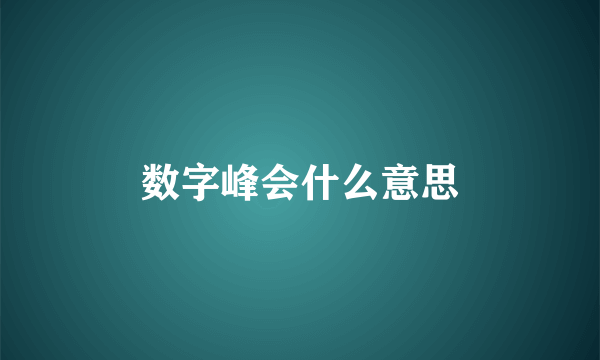 数字峰会什么意思