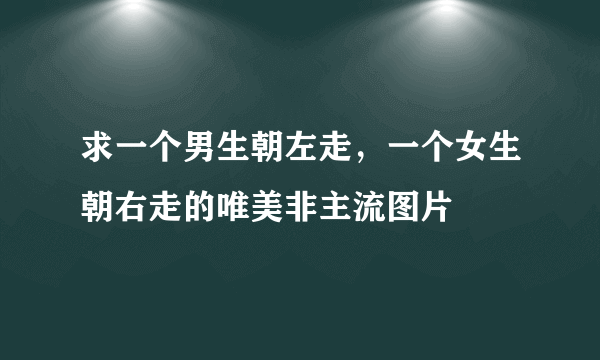 求一个男生朝左走，一个女生朝右走的唯美非主流图片