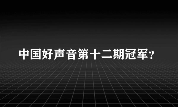 中国好声音第十二期冠军？