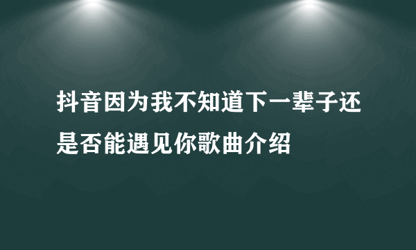 抖音因为我不知道下一辈子还是否能遇见你歌曲介绍