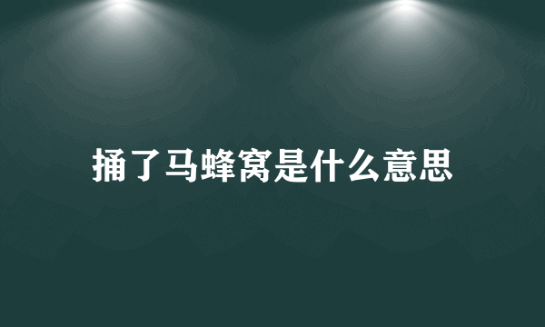 捅了马蜂窝是什么意思