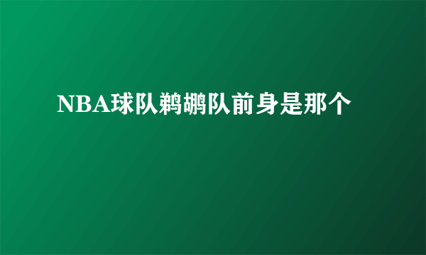 NBA球队鹈鹕队前身是那个