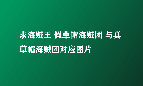 求海贼王 假草帽海贼团 与真草帽海贼团对应图片