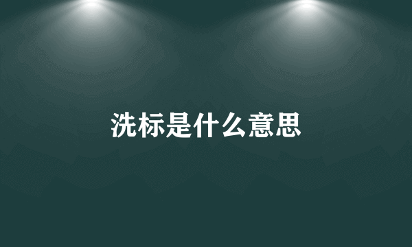 洗标是什么意思