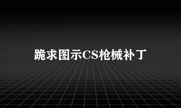 跪求图示CS枪械补丁