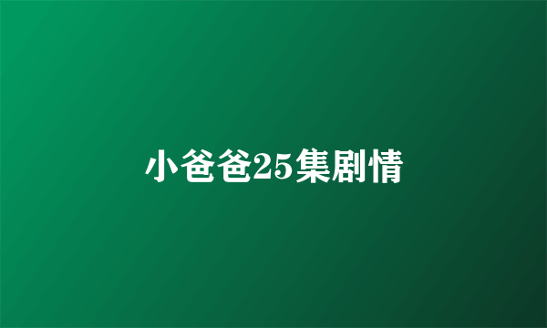 小爸爸25集剧情