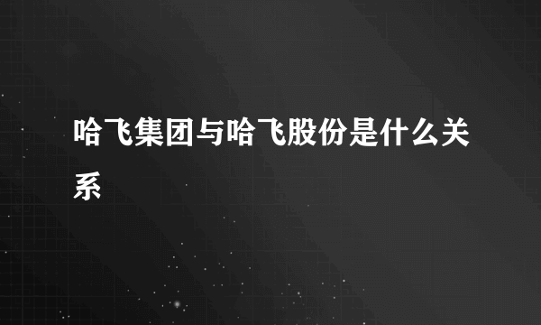 哈飞集团与哈飞股份是什么关系