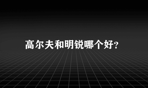 高尔夫和明锐哪个好？