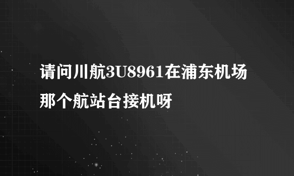 请问川航3U8961在浦东机场那个航站台接机呀