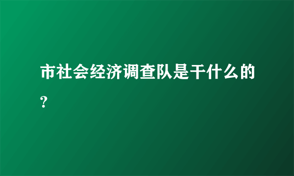 市社会经济调查队是干什么的？