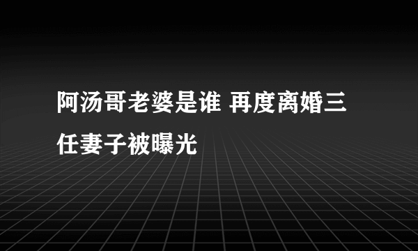 阿汤哥老婆是谁 再度离婚三任妻子被曝光