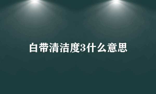 白带清洁度3什么意思