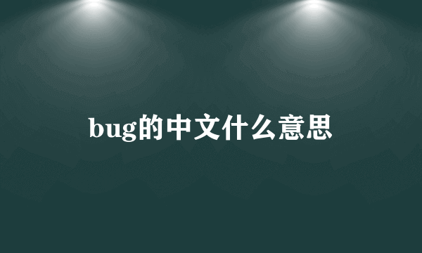 bug的中文什么意思