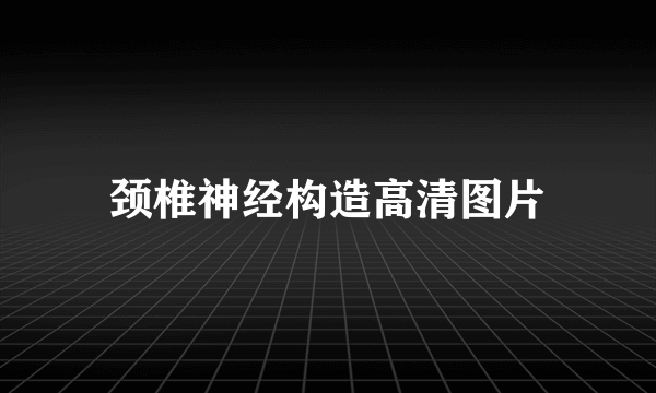 颈椎神经构造高清图片