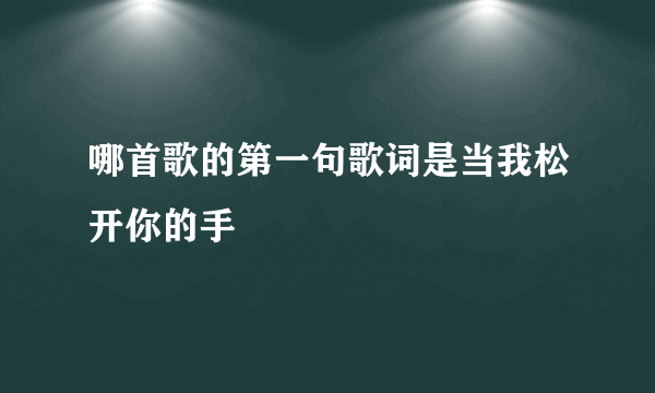 哪首歌的第一句歌词是当我松开你的手