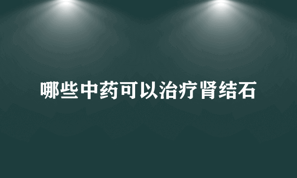 哪些中药可以治疗肾结石