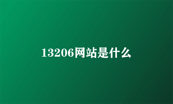 13206网站是什么