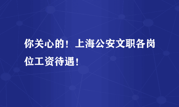 你关心的！上海公安文职各岗位工资待遇！