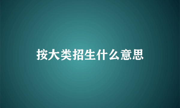 按大类招生什么意思