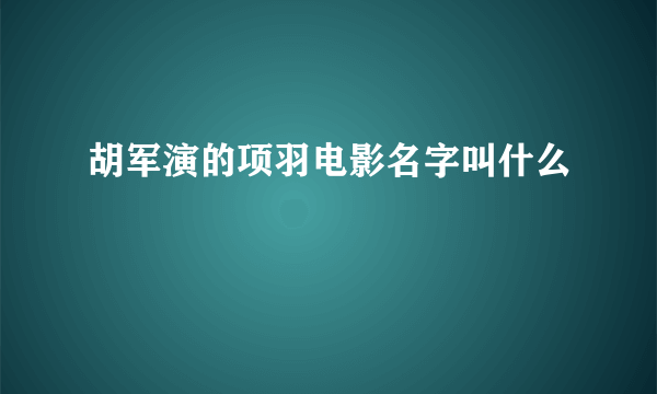 胡军演的项羽电影名字叫什么