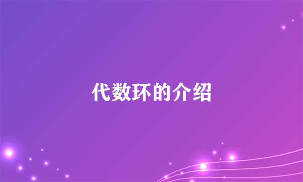 代数环的介绍