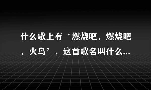 什么歌上有‘燃烧吧，燃烧吧，火鸟’，这首歌名叫什么麻烦告诉我