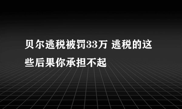 贝尔逃税被罚33万 逃税的这些后果你承担不起