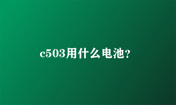 c503用什么电池？