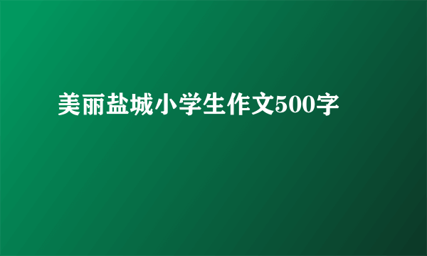 美丽盐城小学生作文500字