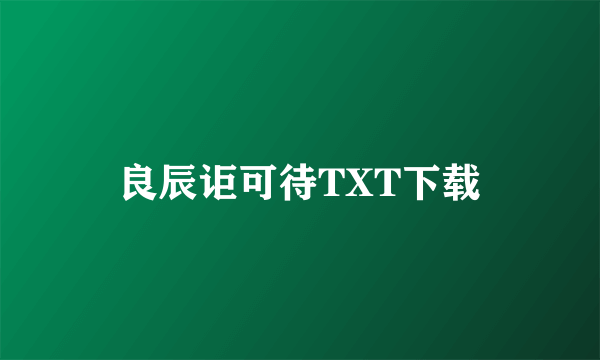 良辰讵可待TXT下载