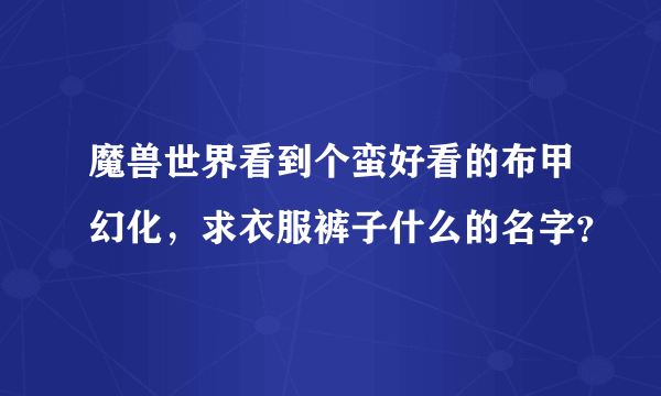 魔兽世界看到个蛮好看的布甲幻化，求衣服裤子什么的名字？