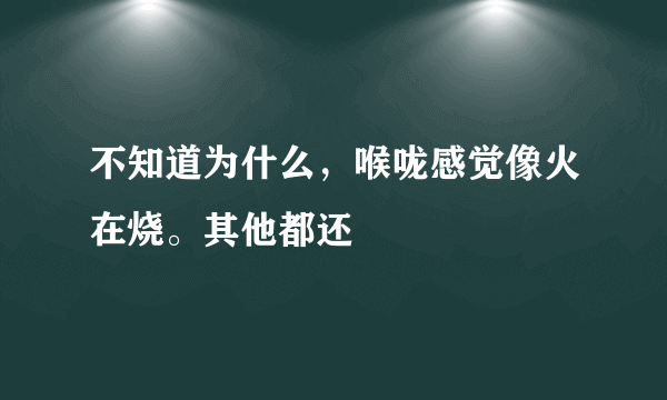 不知道为什么，喉咙感觉像火在烧。其他都还