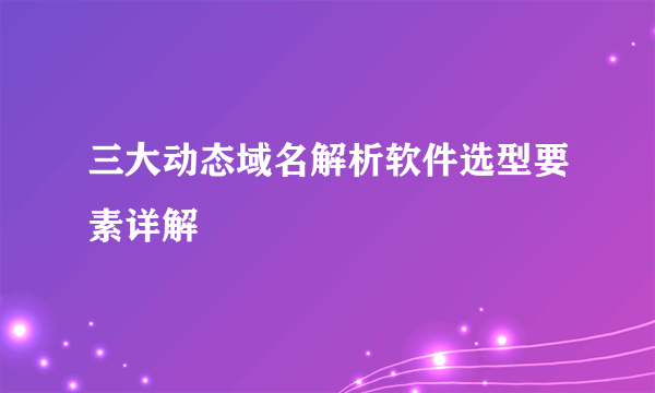 三大动态域名解析软件选型要素详解