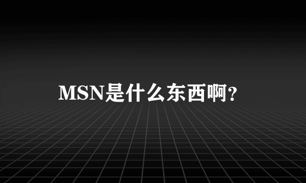 MSN是什么东西啊？