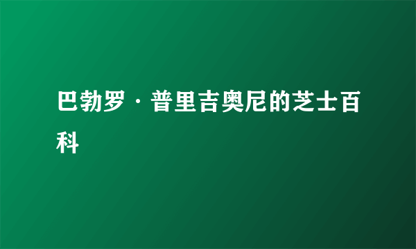 巴勃罗·普里吉奥尼的芝士百科