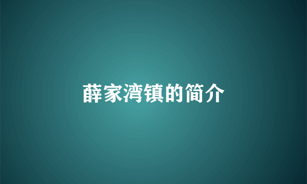 薛家湾镇的简介