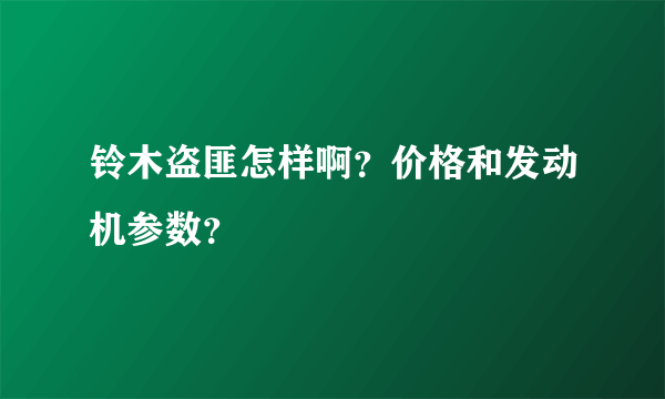 铃木盗匪怎样啊？价格和发动机参数？